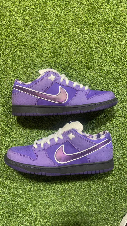 SB DUNK PURPLE LOBSTER SZ. 10.5 (PO)