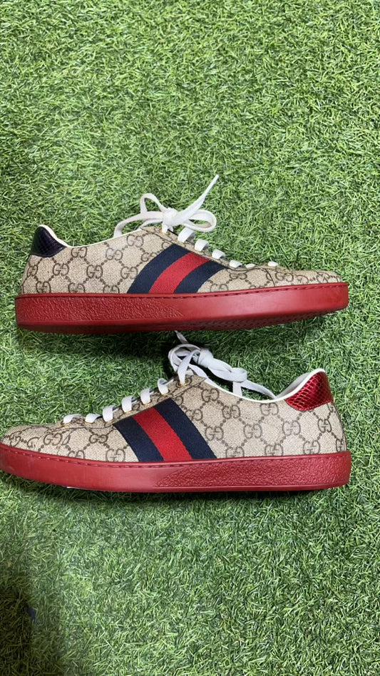 GUCCI SIGNATURE LOW RD BOTTOM SZ. 8 (PO)